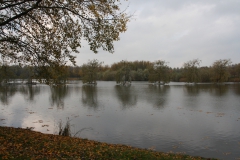 De Floraplas in de herfst