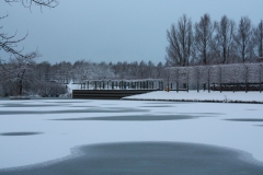 Floraplas in de winter